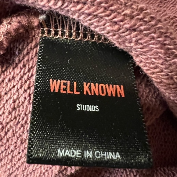 WELL KNOWN STUDIOS MEN’S MAUVE COLORED HOODIE SIZE SMALL PULLOVER STREETWEAR - Picture 3 of 9